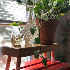 Suporte para plantas de carvalho branco dinamarquês