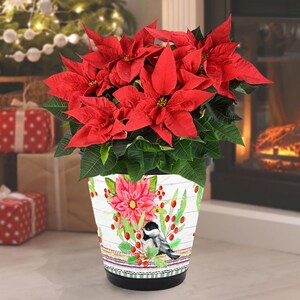 Planter, Poinsettia Chickadee Christmas – Planter, Outdoor/Indoor, 8.25″ H and 8.25″ W Pot, Matte Black Finish, Decorative Wrap, Christmas