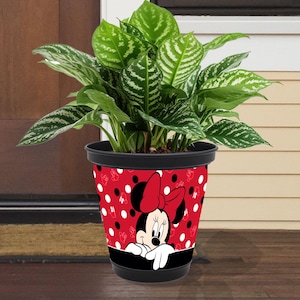 May include: A red and white polka dot planter with a black rim features a cartoon image of Minnie Mouse peeking over the top. The planter is filled with a green leafy plant.