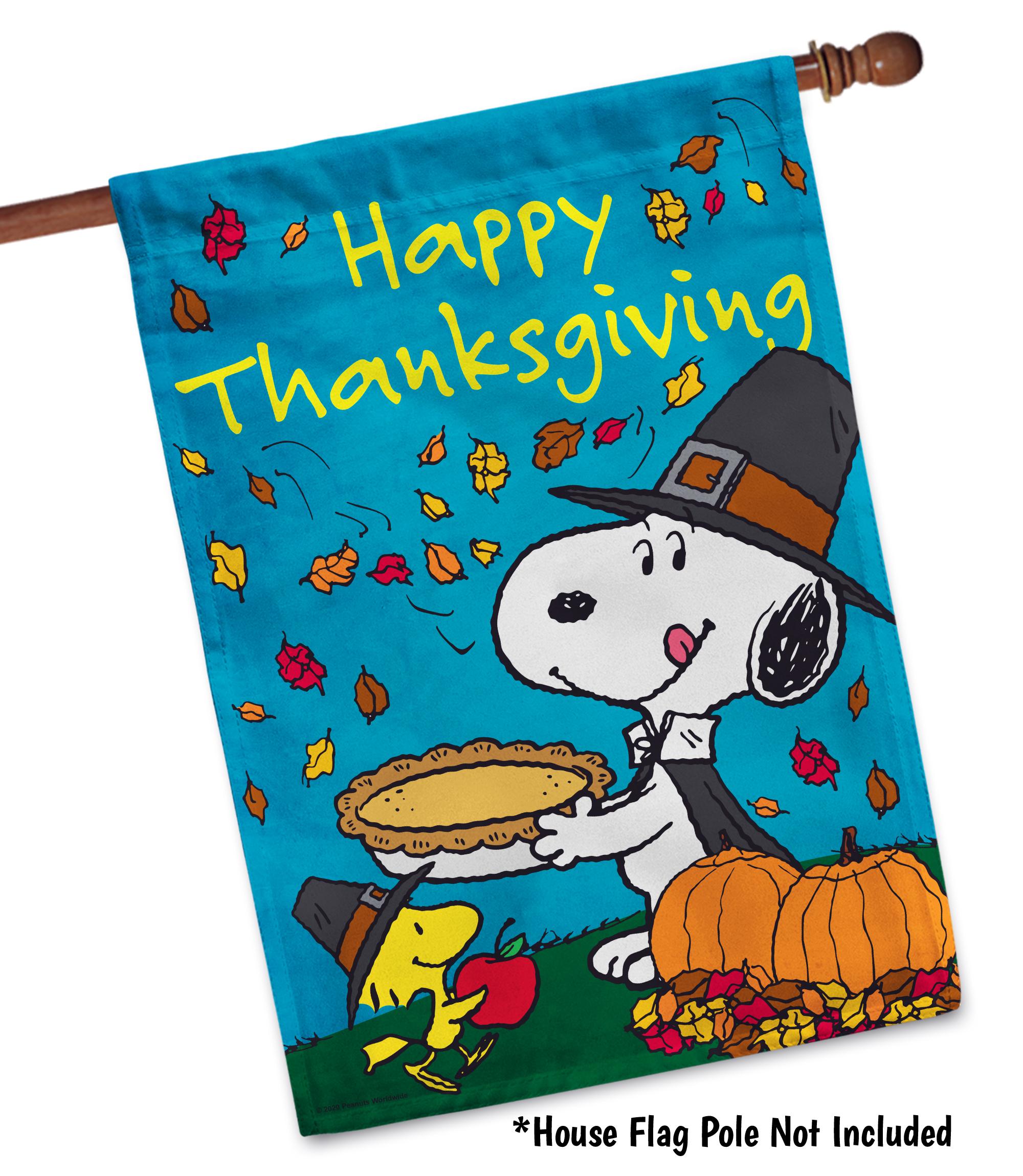 PEANUTS® Happy Thanksgiving Snoopy Garden Flag, Peanuts Fall House Flag ...