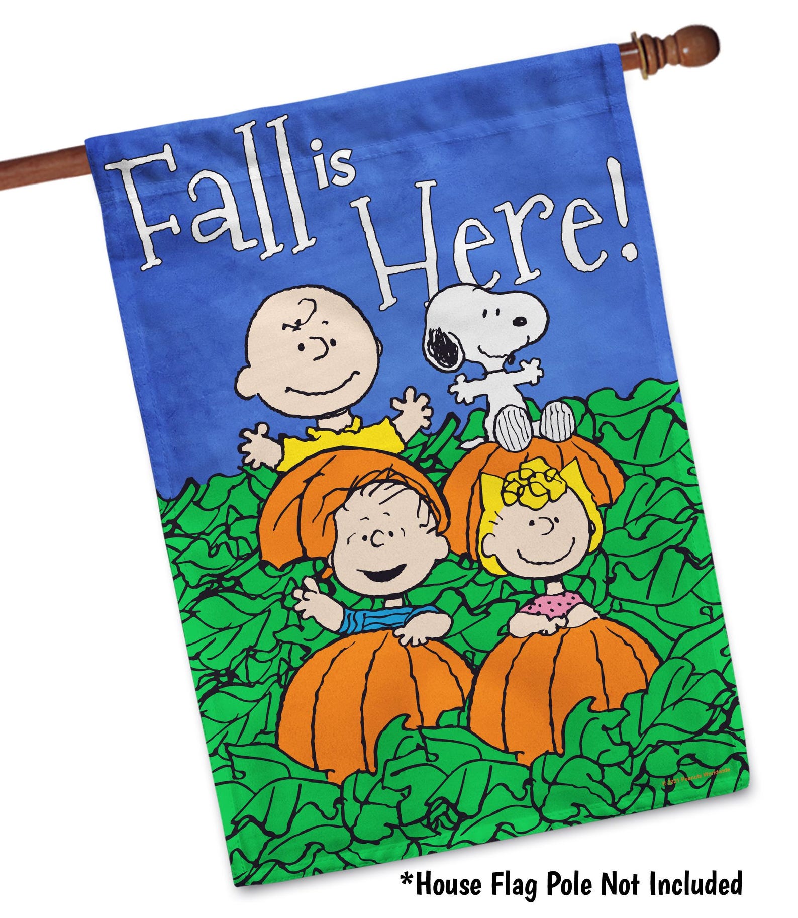 Snoopy and Charlie Brown Fall Garden Flag, Peanuts Characters Autumn ...