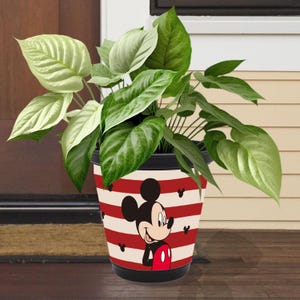 May include: A red and white striped plastic planter with a Mickey Mouse design. Mickey Mouse is wearing his signature red shorts and yellow gloves. The planter is filled with a green plant.