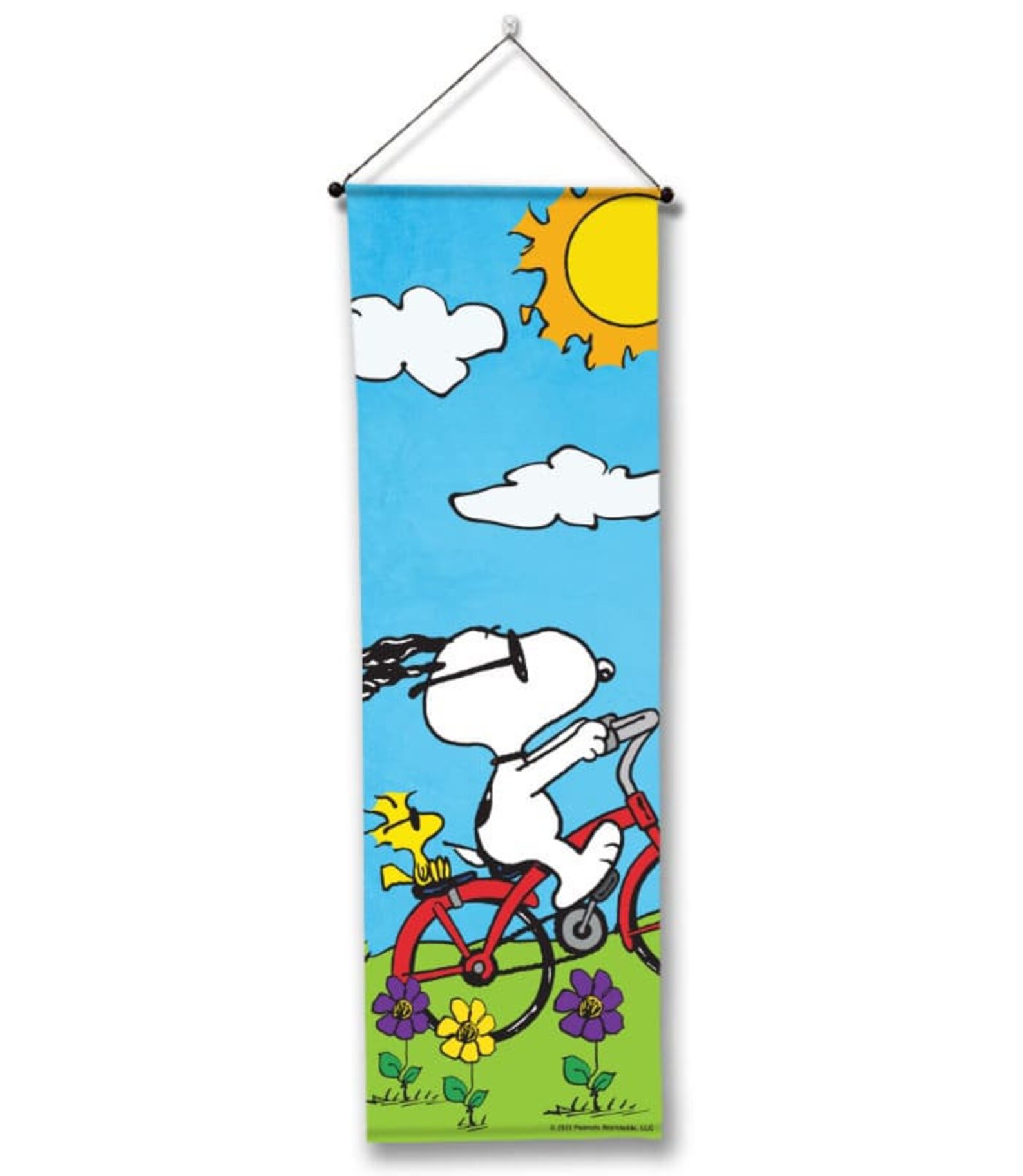 PEANUTS® Cruising Into Spring - Front Door Banner – 15″ X 47″, Outdoor ...