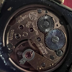 May include: Close-up of a watch movement with the text "17 JEWELS SWISS MADE" and "UNADJUSTED" visible. The movement is silver-toned with visible gears and a small ruby jewel.