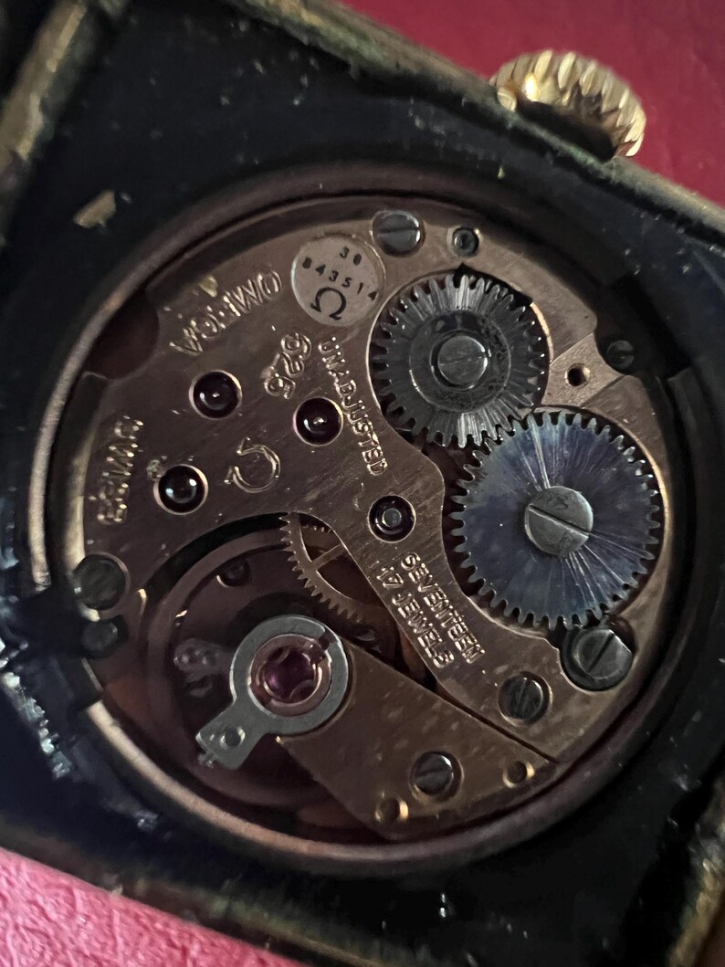 May include: Close-up of a watch movement with the text "17 JEWELS SWISS MADE" and "UNADJUSTED" visible. The movement is silver-toned with visible gears and a small ruby jewel.