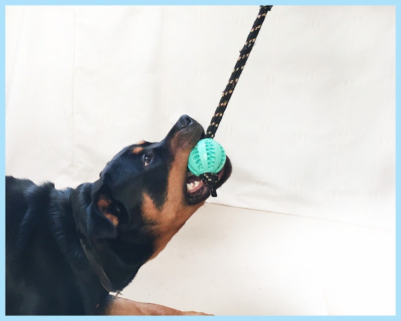 Super Tough Teeth Cleaning Dog Toy. Made From Durable Safe Etsy