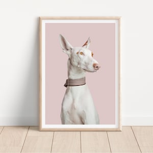 podenco greyhound dog print -  Fine Art Dog Photography Print - dog wall art - print & ship - poster