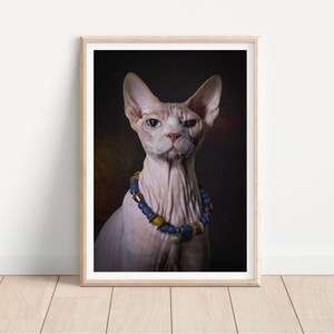 sphinx hairless cat print -  Fine Art Cat Photography Print - cat wall art - print & ship - poster