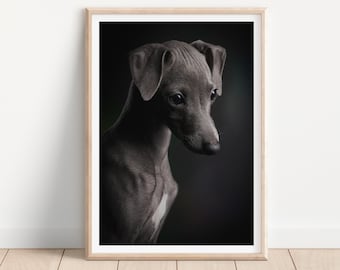 Impresión de perro galgo italiano - Impresión de fotografía de perros de bellas artes - Arte mural de perros - Impresión y envío - Póster