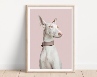 Impresión de perro galgo podenco - Impresión de fotografía de perros de bellas artes - Arte de pared de perros - Impresión y envío - Póster