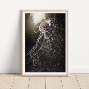 whippet greyhound dog print -  Fine Art Dog Photography Print - dog wall art - print & ship - poster