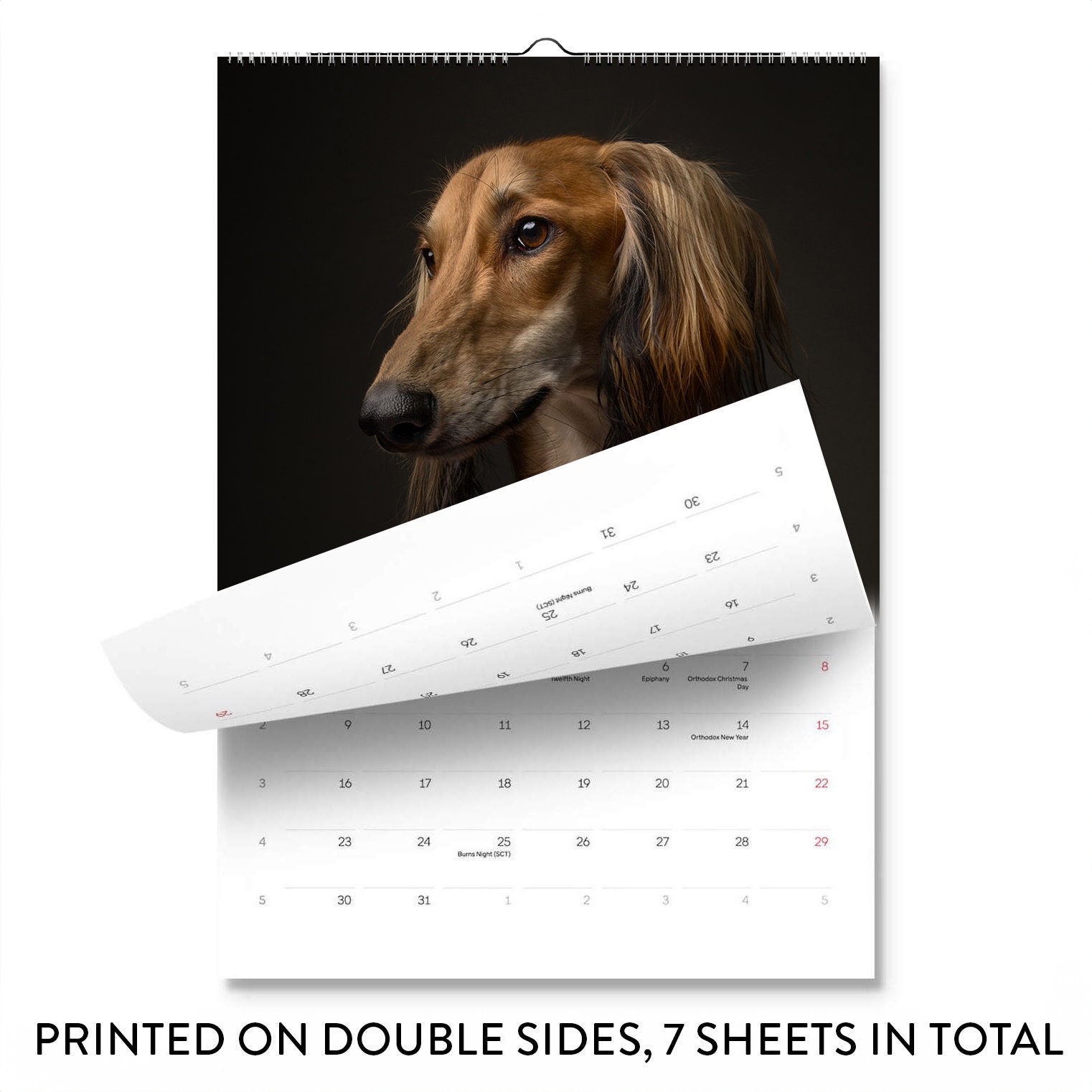 Sighthounds Calendar 2025, Greyhounds, Whippets, Salukis, Afghan Hounds