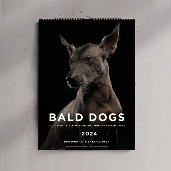 Nackthund Kalender, Xolo, Chinesicher Schopfhund, Amerikanischer Haarloser Terrier