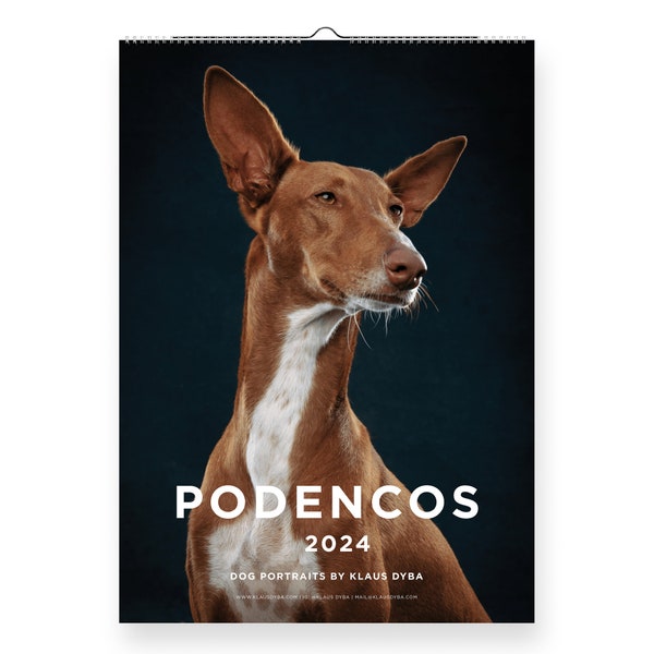 Podenco Calendar 2024, Podenco Dog portraits, Fine Art dog Photography, wall decor, Christmas gift