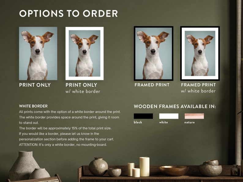 Ragdoll Cat Print Fine Art Cat Photography Print Cat Wall Etsy