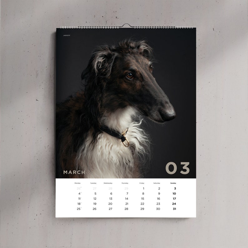 Sighthounds Calendar 2024, Greyhounds, Whippets, Salukis, Afghan Hounds