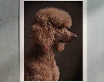 Standard Poodle Dog Print Fine Art Dog Photography Dog Wall