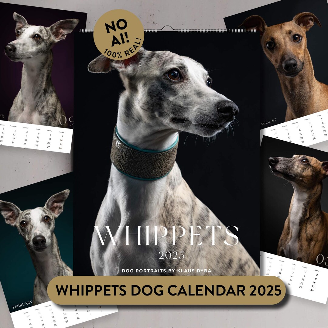 Whippet Calendar 2025 Whippet Gifts Greyhound Lover Gift Fast
