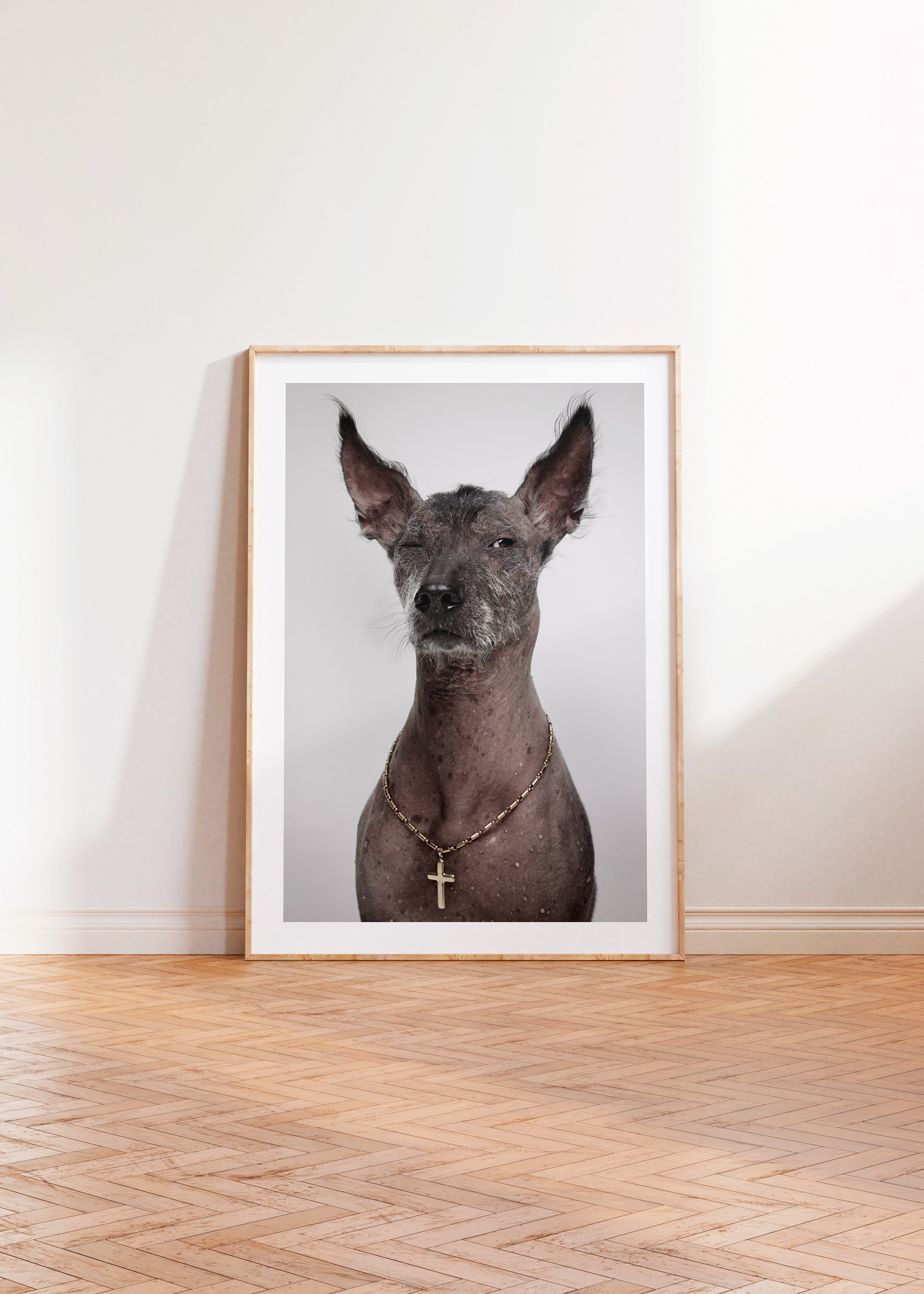 Xolo Dog Poster UK