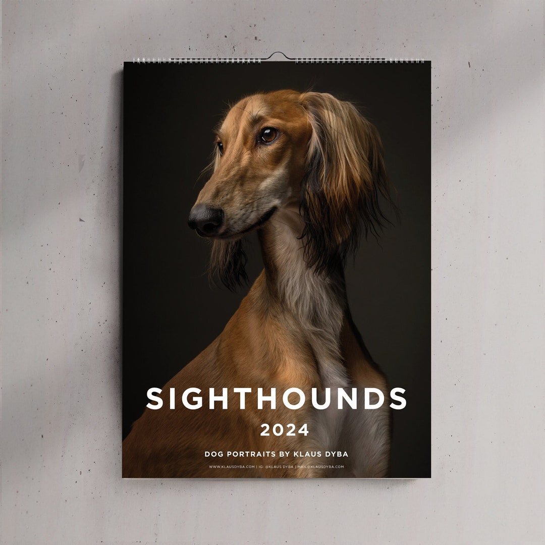 Sighthounds Calendar 2024 Greyhounds Whippets Salukis Etsy