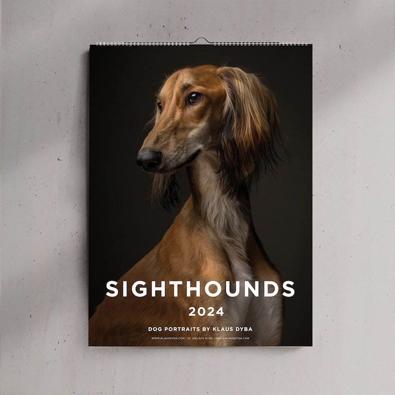 Sighthounds Calendar 2024, Greyhounds, Whippets, Salukis, Afghan Hounds