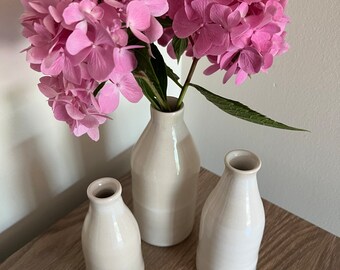 Mini vaso Vaso in ceramica Fiore in rilievo Porcellana Artigianato Disposizione floreale Accessori Terrario idroponico Decorazione della casa  15