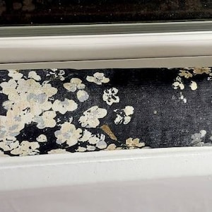 Draft Stopper, Door Draft Stopper, Window Draft Stopper, Breeze Blocker, Insect Repellent, *FILLED*Cedar, Door Snake, Noise Barrier, Blossom