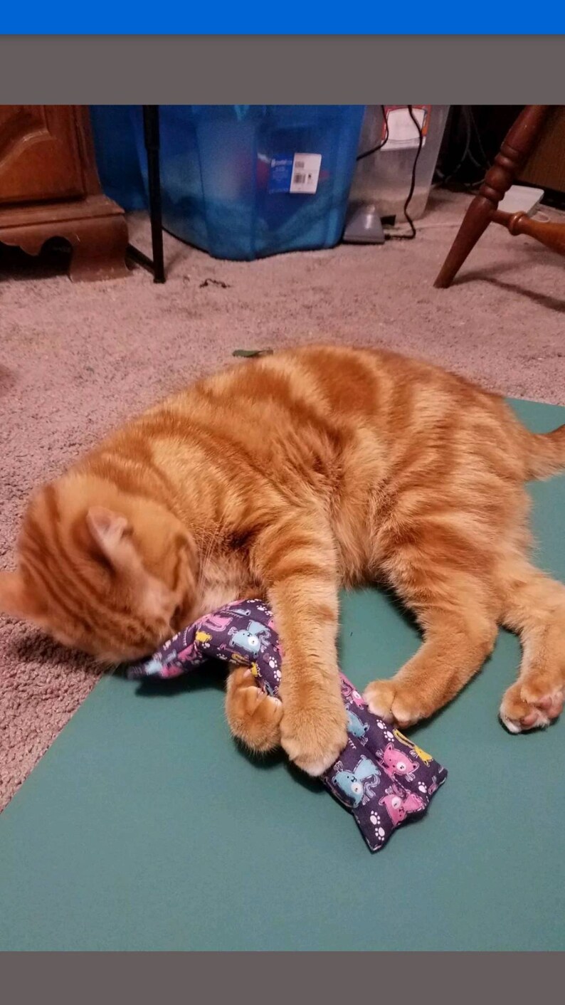 Kitty Catnip Pillow Stick Cat Toy Catnip Toy Etsy