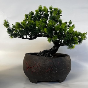 Vaso per bonsai ovale in pietra lavica