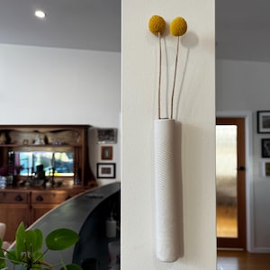 Könnte beinhalten: Eine weiße, zylindrische Wandvase mit dezenter Spiralstruktur, in der zwei getrocknete, gelbe Trommelstöckchen-Blüten an langen, dünnen Stielen stecken. Die Vase ist vertikal an einer flachen, hellen Wandfläche befestigt.