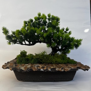 Op de afbeelding: Een kleine kunstmatige bonsaiboom met levendig groen naaldachtig blad en een donkere, gebogen stam. De boom is geplant in een rechthoekige, getextureerde bruine en zwarte keramische pot, met een laag groen mos over de aarde.