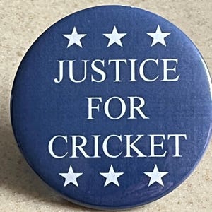 Justice For Cricket Pin-Back or Magnet