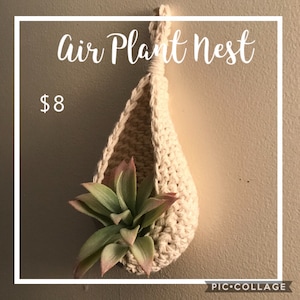 May include: Cream-colored, crocheted air plant nest with a hanging loop. The nest holds a faux succulent with green and pink leaves. The text "Air Plant Nest" is written in cursive.