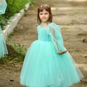 Flower girl dress, elegant tutu dress, first birthday party gown,  long sleeve baby girl dress, wedding celebration party,  photoshoot