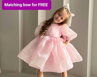 Light pink organza dress, puffy sleeves dress, toddler 1st birthday dress, first birthday baby girl dress, flower girl dress, smash cake