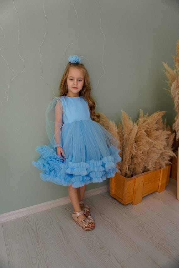 Puffy Flower Girl Blue Dress, Feathers Tulle Tutu Dress, Princess Baby,  First Birthday, Photo Shoot Sleeve Dress, Christmas Clearance - Etsy