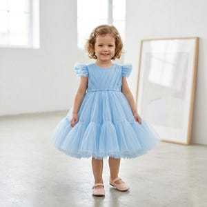 Dusty blue flower girl dress, tulle dress, princess baby girl, first birthday  photo shoot butterfly sleeve dress, Christmas clearance