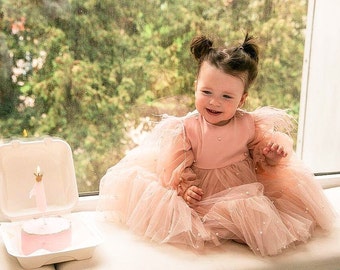 Robe de fille d'anniversaire, robe en tulle rose blush, bébé princesse, première tenue de photoshoot d'anniversaire, robe perlée à manches longues ss, liquidation de Noël