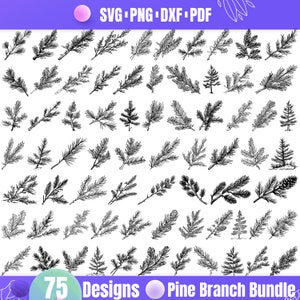 Op de afbeelding: Een set van 75 zwart-witte lijntekeningen van dennentakken. De dennentakontwerpen zijn perfect voor knutselen, scrapbooking en andere creatieve projecten.  Pine Branch Bundle.