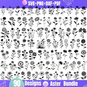 Aster Flower SVG – Elegant Botanical Floral Clipart for Cricut & Sublimation