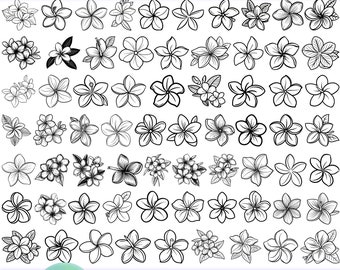 High Quality Plumeria SVG Bundle, Plumeria dxf, Plumeria png, Plumeria vector, Plumeria clipart, Tropical Flower svg, Hawaiian Flower svg