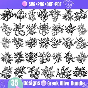 Paquete SVG de aceituna griega / 35 diseños de imágenes prediseñadas de ramas de olivo y frutas para Cricut y decoración de casas de campo / SVG, PNG, DXF, PDF