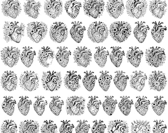 May include: 50 black and white designs of a human heart with floral details. The designs are arranged in a grid pattern.