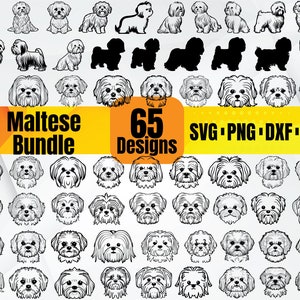 High Quality Maltese SVG Bundle, Maltese face svg, Maltese dxf, Maltese png, Maltese eps, Maltese vector, Maltese monogram,Maltese Dog svg
