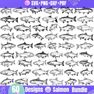 May include: A set of 60 black and white vector illustrations of salmon fish in various poses. The illustrations are perfect for creating designs for t-shirts, mugs, stickers, and other products.