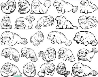 High Quality Manatee SVG Bundle, Manatee dxf, Manatee png, Manatee vector, Manatee clipart, Sea Creature svg, Nautical svg, Floral Manatee