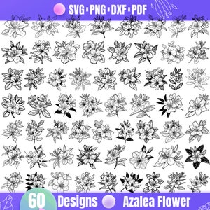 Azalea Blume SVG - Elegantes Blumenmuster zum Basteln