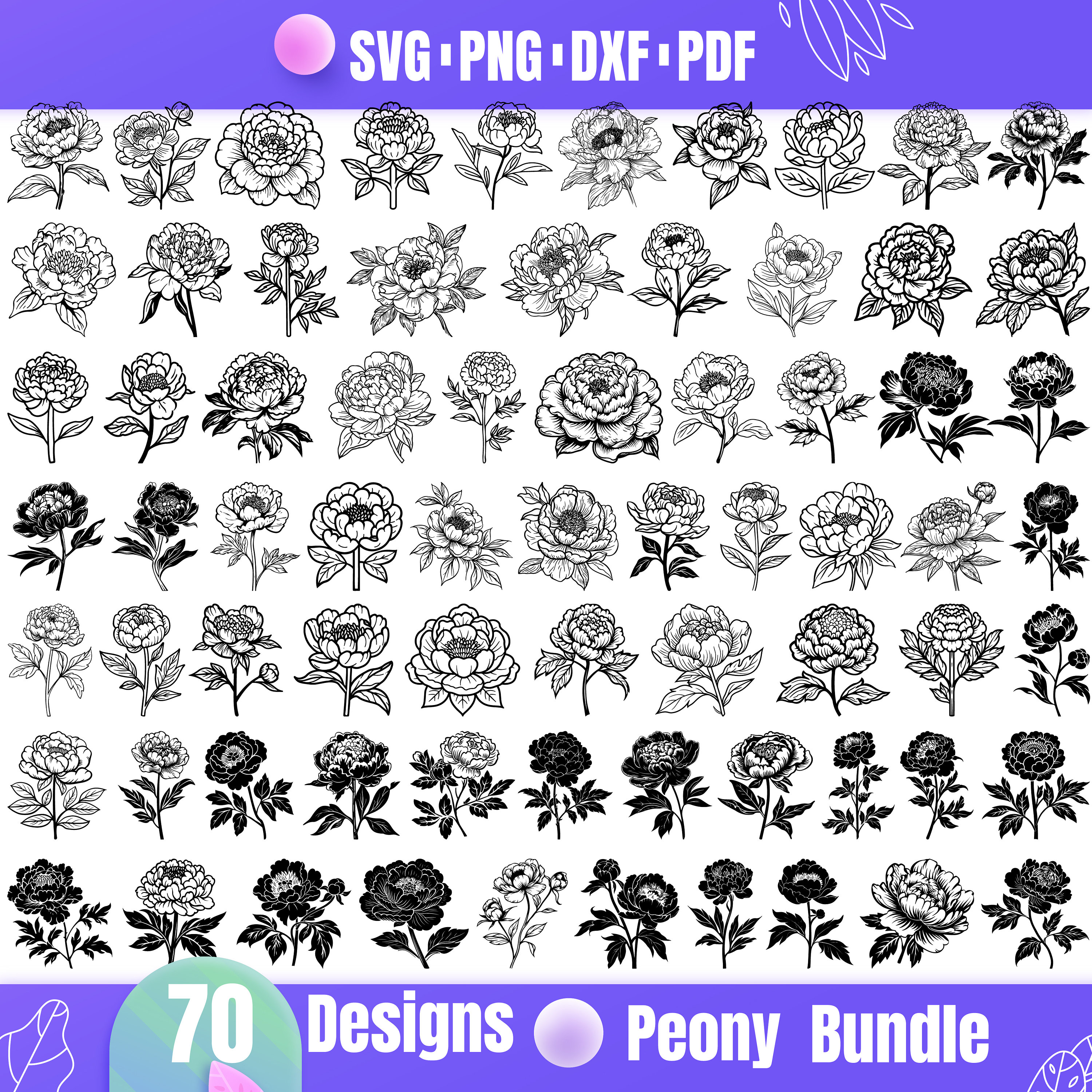 High Quality Peony SVG Bundle, Peony dxf, Peony png, Peony vector, Peony clipart, Peony Flowers svg, Wedding Peony svg, Peony outline