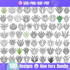 Aloe Vera SVG Bundle | 100 Succulent Plant Clipart Designs for Cricut & Laser Cut | Herbal Line Art | svg png dxf pdf