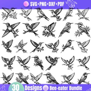 Op de afbeelding: Een set van 30 zwart-wit illustraties van bijeneters. De vogels zijn gedetailleerd en realistisch getekend en worden in verschillende poses getoond, waaronder vliegen, zitten en eten. De illustraties zijn perfect voor gebruik in een verscheidenheid aan projecten, zoals scrapbooking, kaartmaken en digitaal ontwerp.